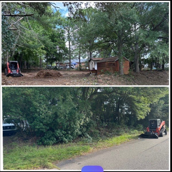 Before and after land clearing results