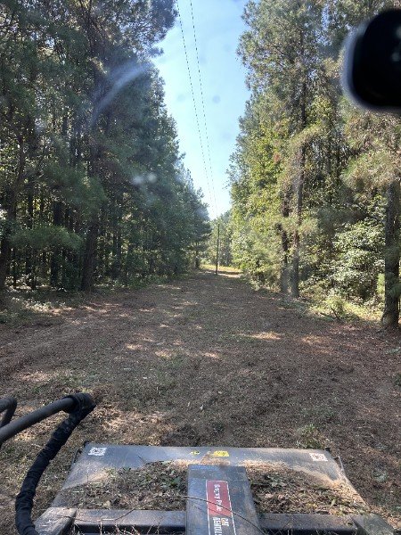 Cleared fire-break style opening after selective land clearing